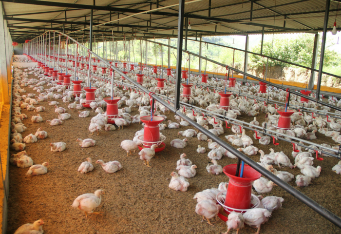 AGRI-CID 360 - Image 3